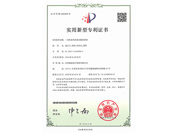 一次性使用双袋式肠给养器