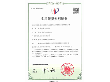 营养液袋接口结合及使用该营养液袋接口结构的肠给养器